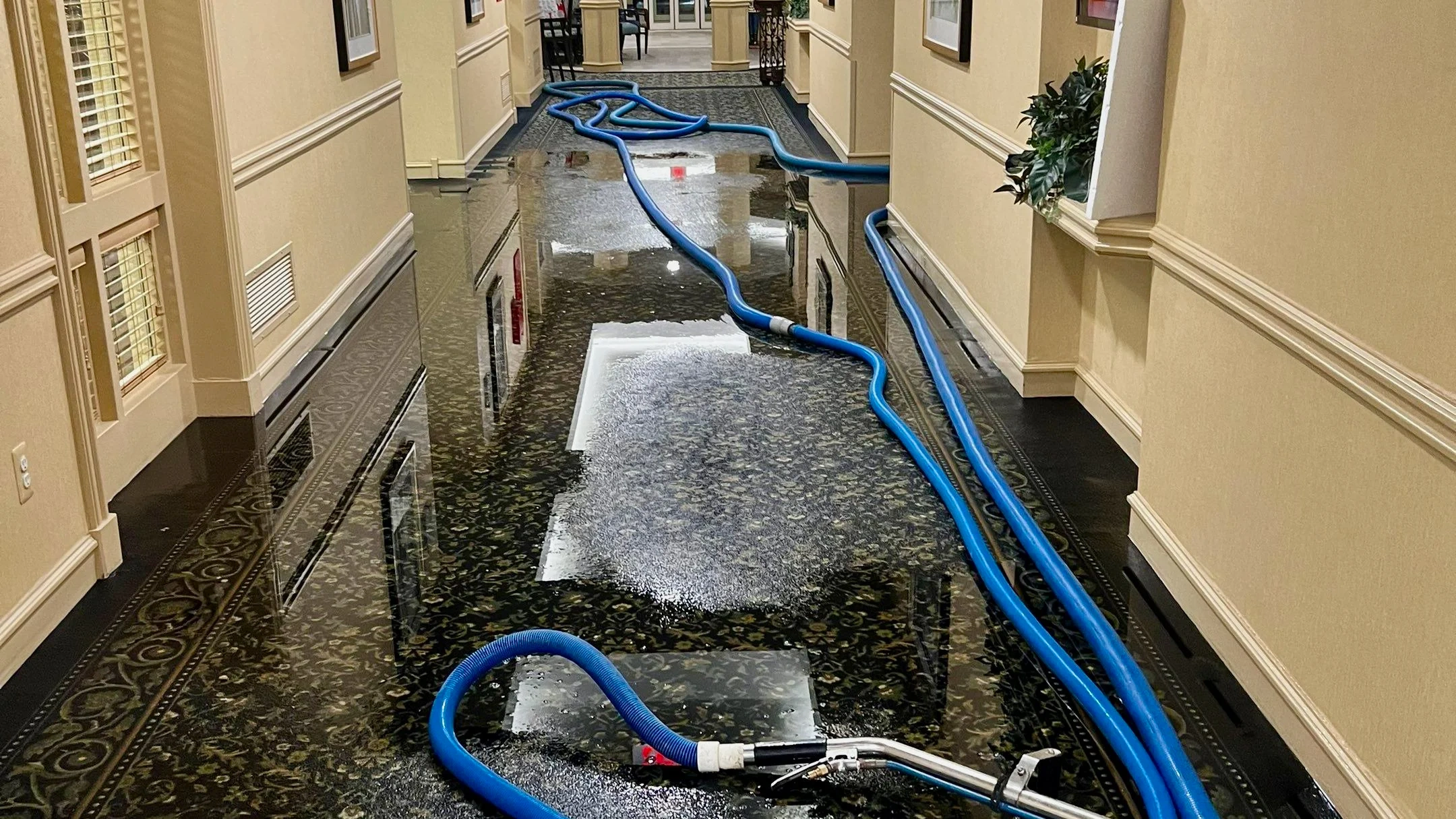 expert water damage repair in corpus christi