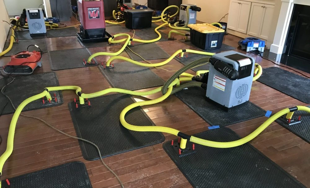 water damage restoration company corpus christi